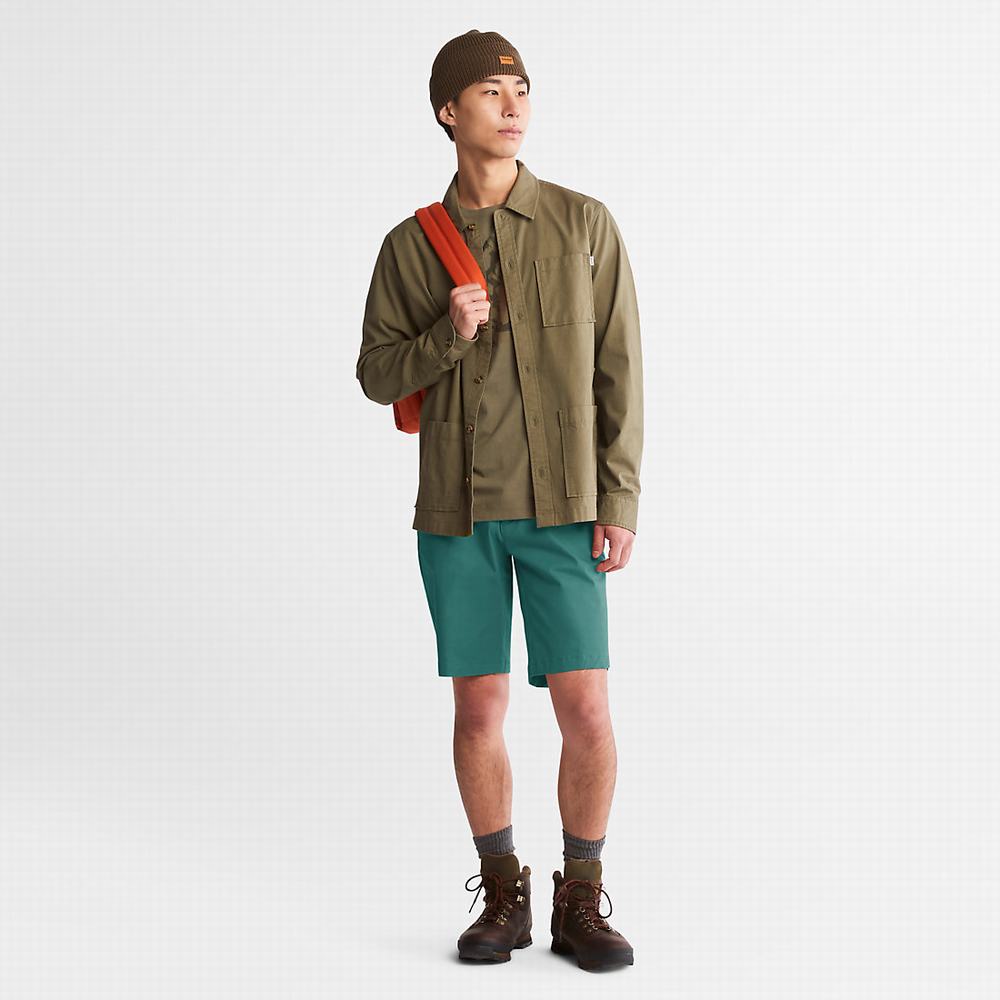 Timberland Squam Lake Stretch Chino Şort Erkek Yeşil | TR-1645R