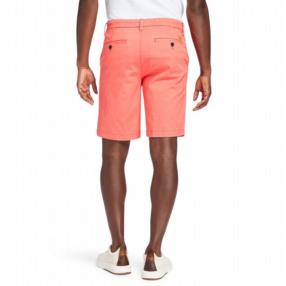 Timberland Squam Lake Stretch Chino Şort Erkek Kırmızı | TR-1704F