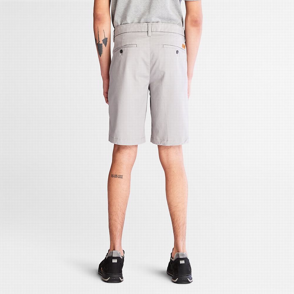 Timberland Squam Lake Stretch Chino Şort Erkek Açık Gri | TR-6015T