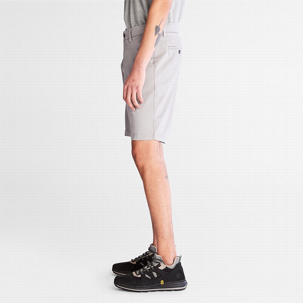Timberland Squam Lake Stretch Chino Şort Erkek Açık Gri | TR-6015T
