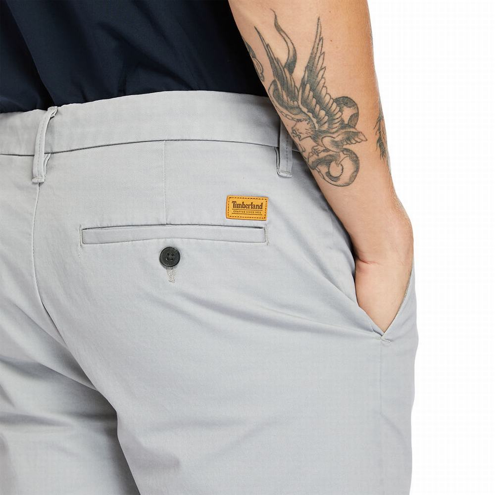 Timberland Squam Lake Stretch Chino Şort Erkek Gri | TR-7421G