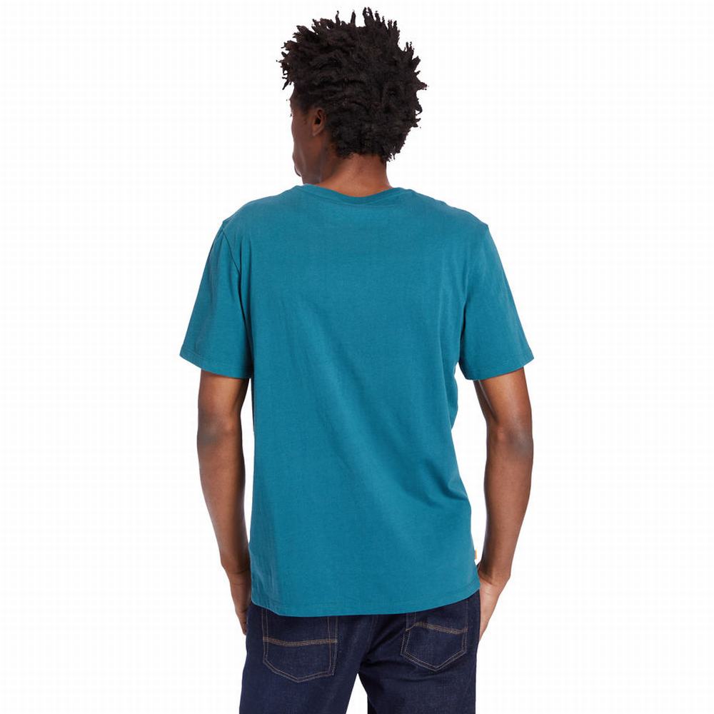 Timberland Stack Logo Tişört Kadın Turkuaz | TR-5724D