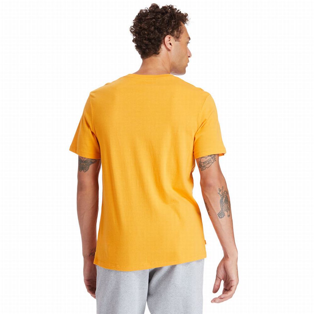 Timberland Stack Logo Tişört Kadın Turuncu | TR-7820F