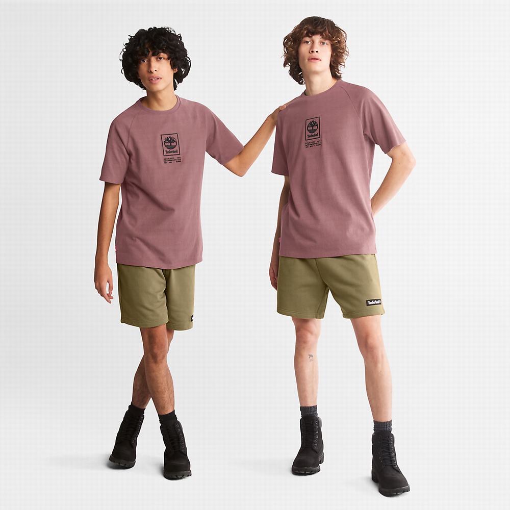 Timberland Stacked Logo Tişört Erkek Pembe | TR-6058H