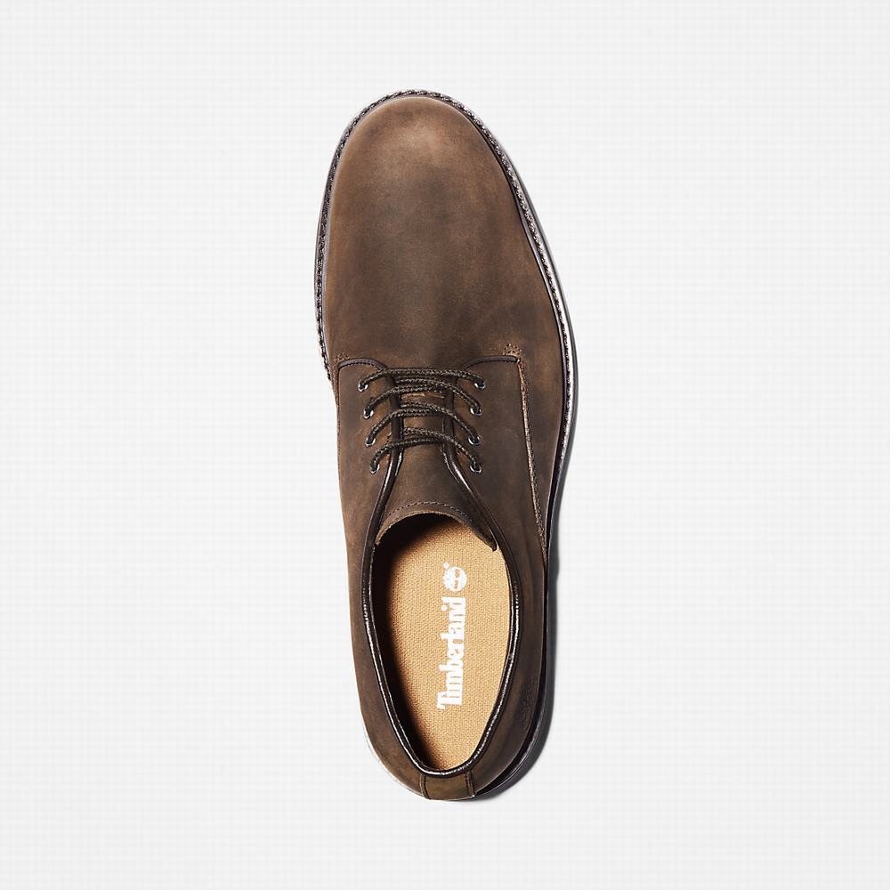 Timberland Stormbucks Oxford Ayakkabı Erkek Koyu Kahverengi | TR-1429J
