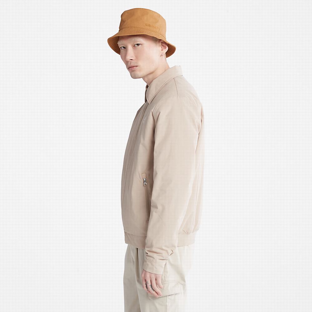 Timberland Stratham Winter Bomber Ceket Erkek Bej Rengi | TR-3170B
