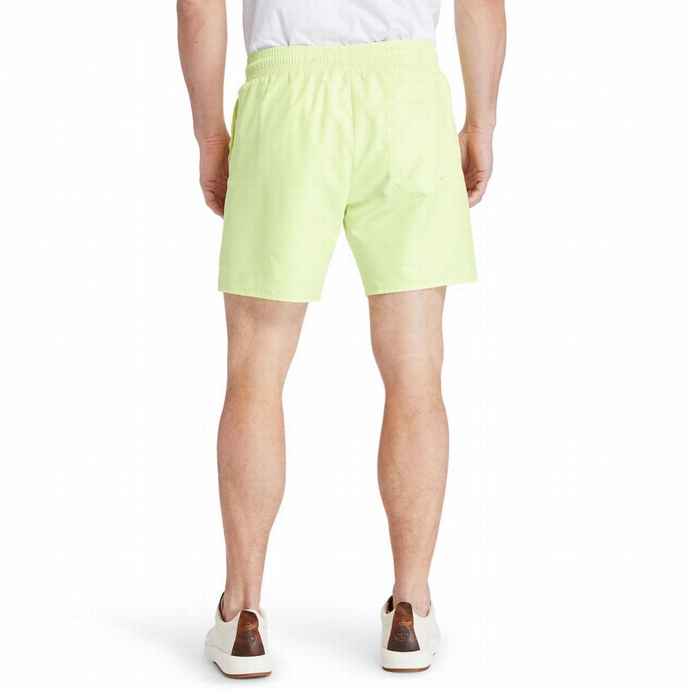 Timberland Sunapee Lake Solid-colour Swim Şort Erkek Açık Yeşil | TR-3869M