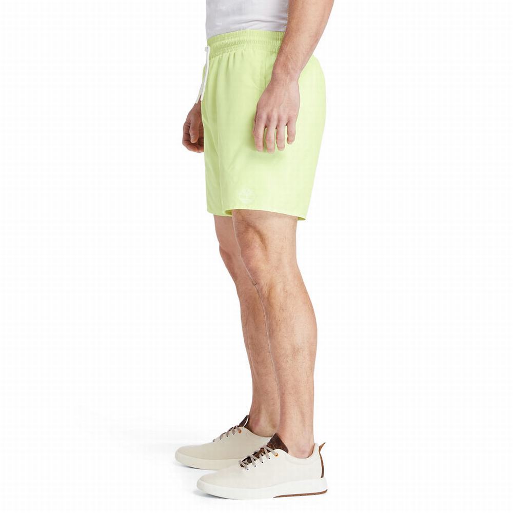 Timberland Sunapee Lake Solid-colour Swim Şort Erkek Açık Yeşil | TR-3869M