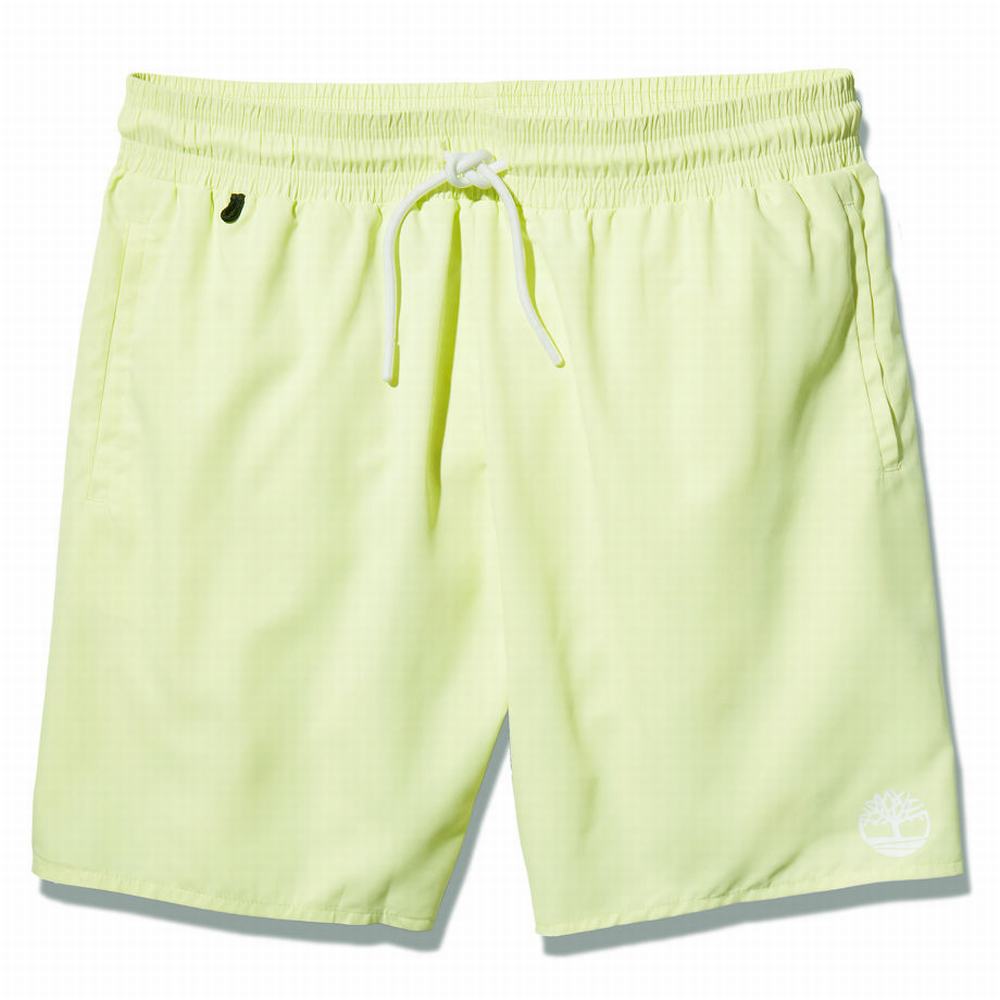 Timberland Sunapee Lake Solid-colour Swim Şort Erkek Açık Yeşil | TR-3869M