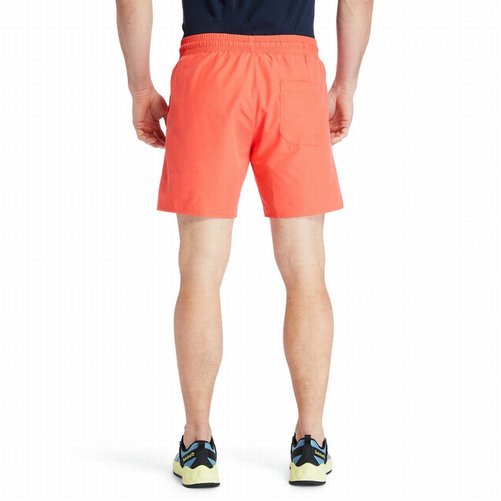 Timberland Sunapee Lake Solid-colour Swim Şort Erkek Kırmızı | TR-6759N