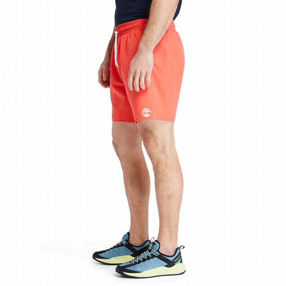 Timberland Sunapee Lake Solid-colour Swim Şort Erkek Kırmızı | TR-6759N