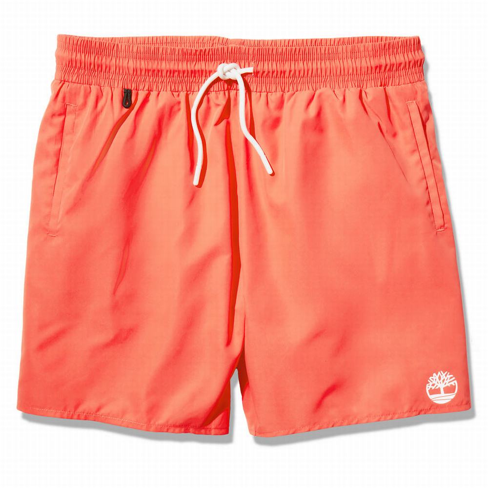 Timberland Sunapee Lake Solid-colour Swim Şort Erkek Kırmızı | TR-6759N