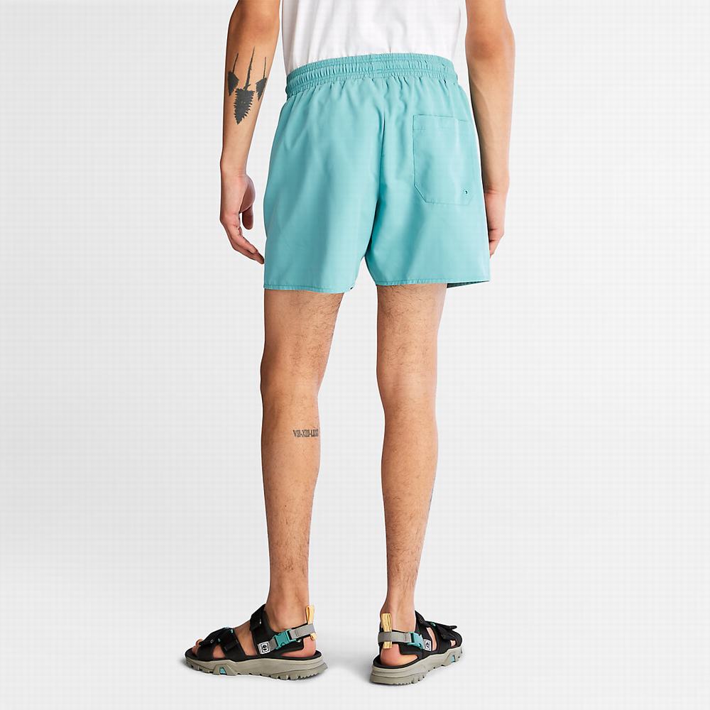Timberland Sunapee Lake Swim Şort Erkek Turkuaz | TR-2649X