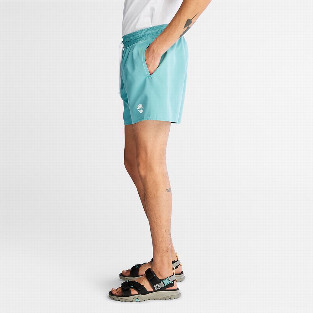 Timberland Sunapee Lake Swim Şort Erkek Turkuaz | TR-2649X