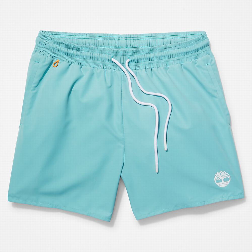 Timberland Sunapee Lake Swim Şort Erkek Turkuaz | TR-2649X