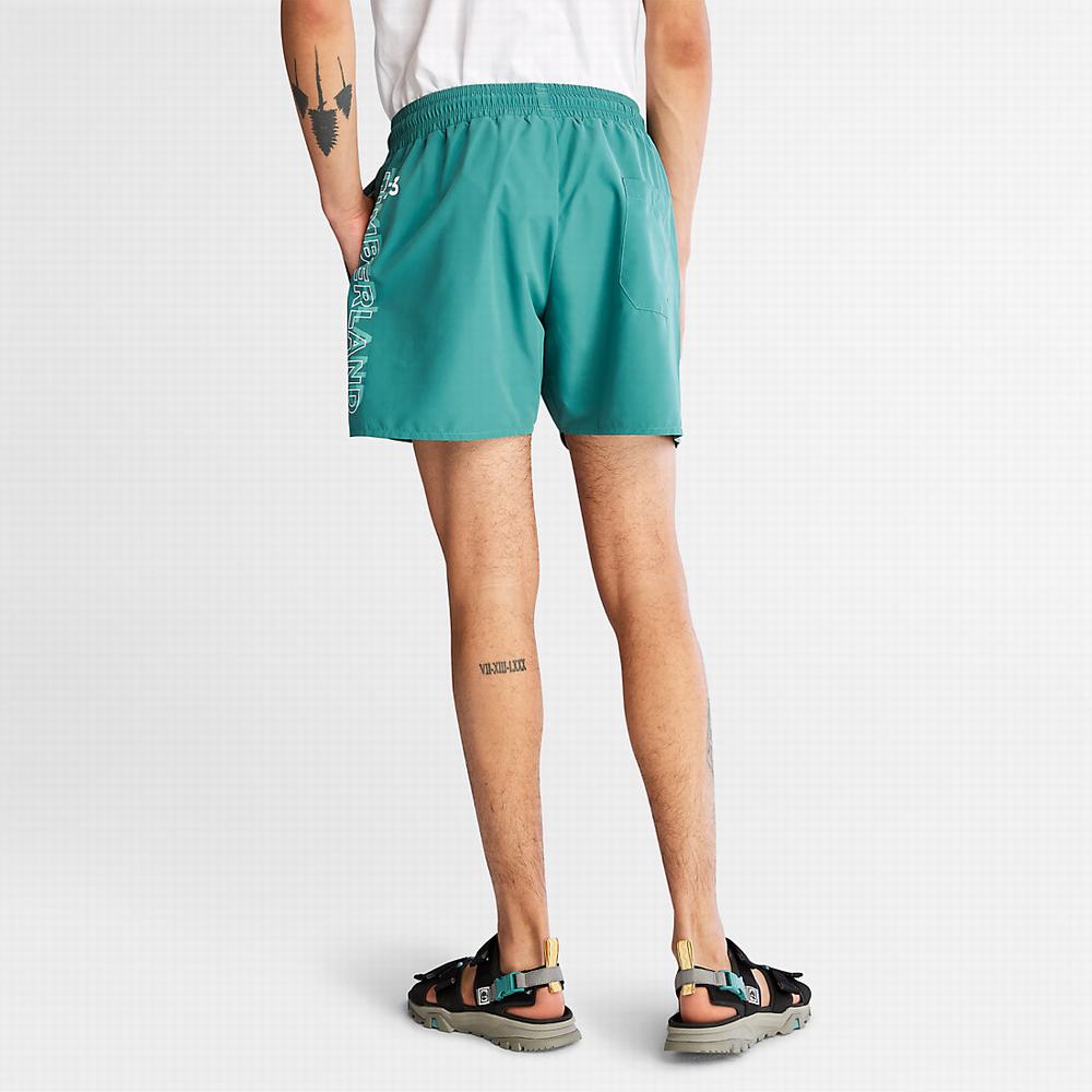 Timberland Sunapee Lake Swim Şort Erkek Yeşil | TR-2805H