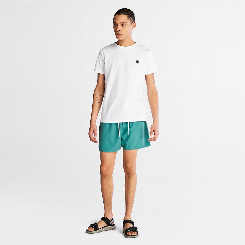 Timberland Sunapee Lake Swim Şort Erkek Yeşil | TR-2805H