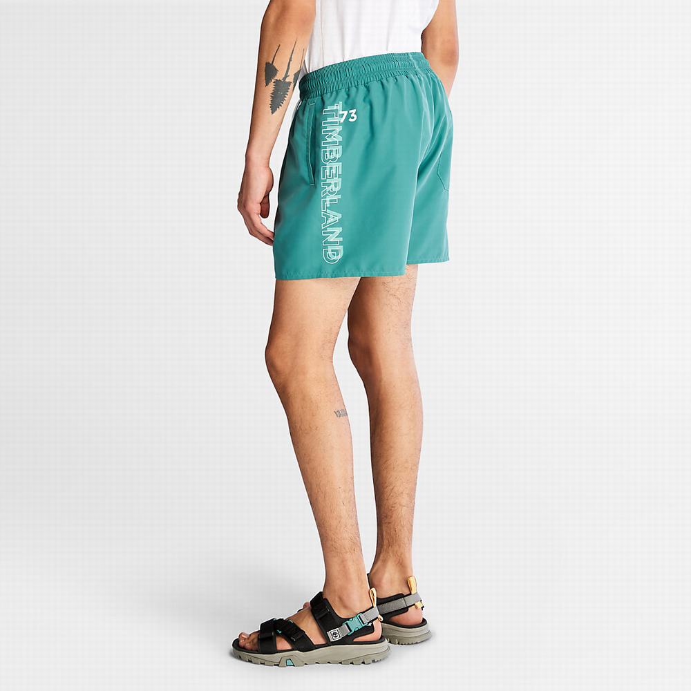 Timberland Sunapee Lake Swim Şort Erkek Yeşil | TR-2805H