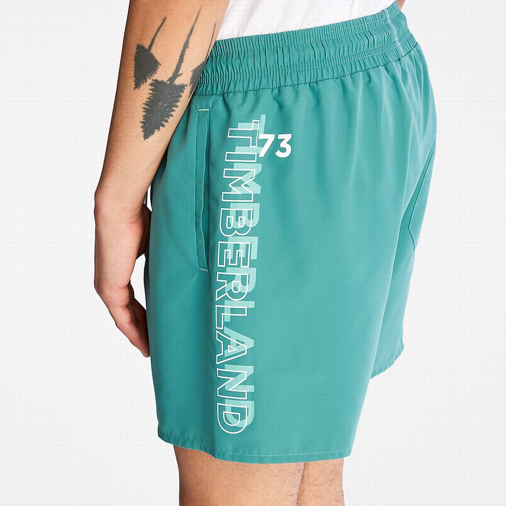 Timberland Sunapee Lake Swim Şort Erkek Yeşil | TR-2805H