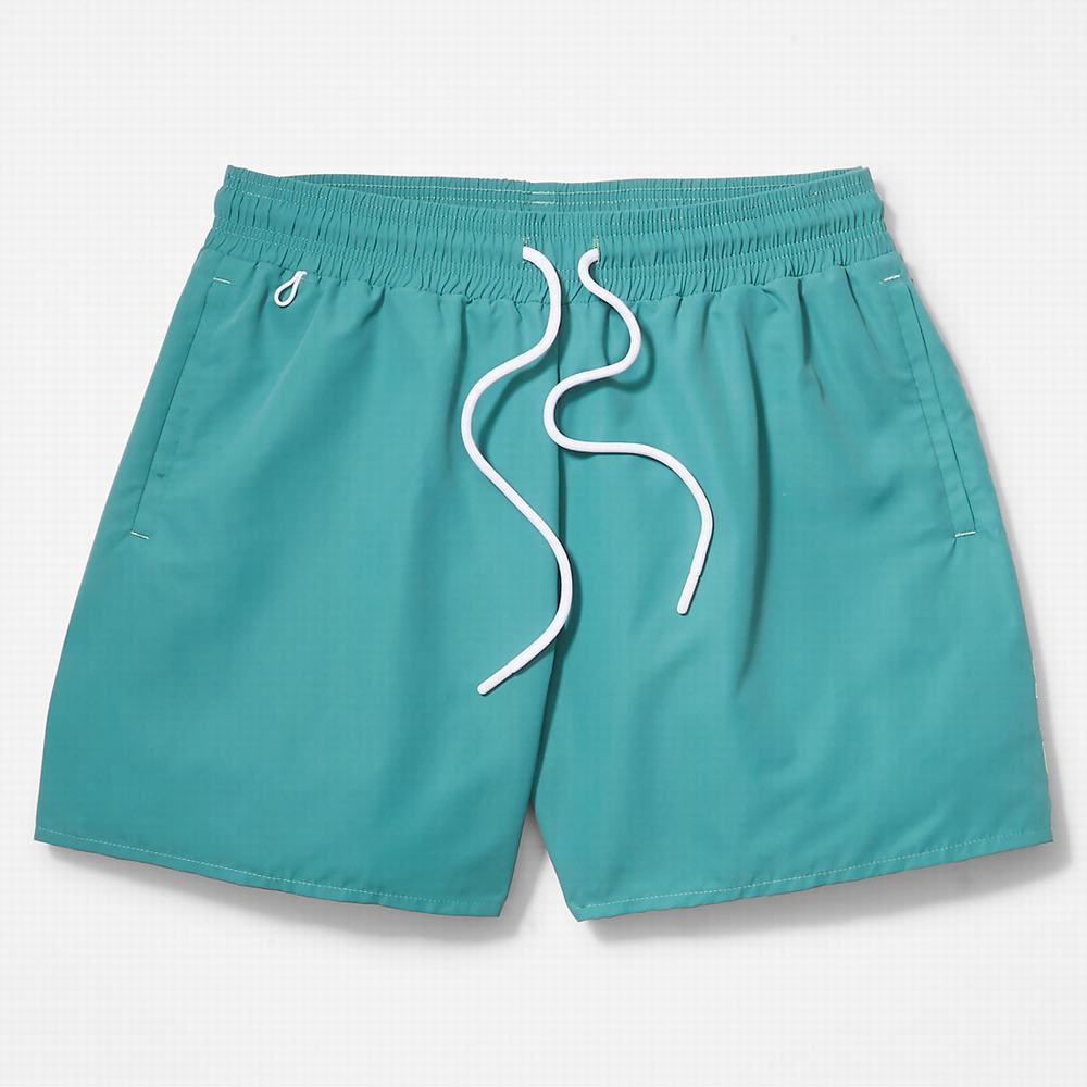 Timberland Sunapee Lake Swim Şort Erkek Yeşil | TR-2805H