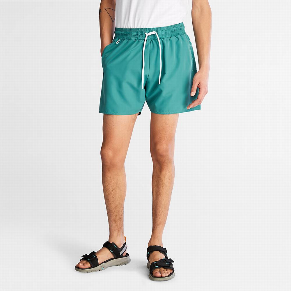 Timberland Sunapee Lake Swim Şort Erkek Yeşil | TR-2805H