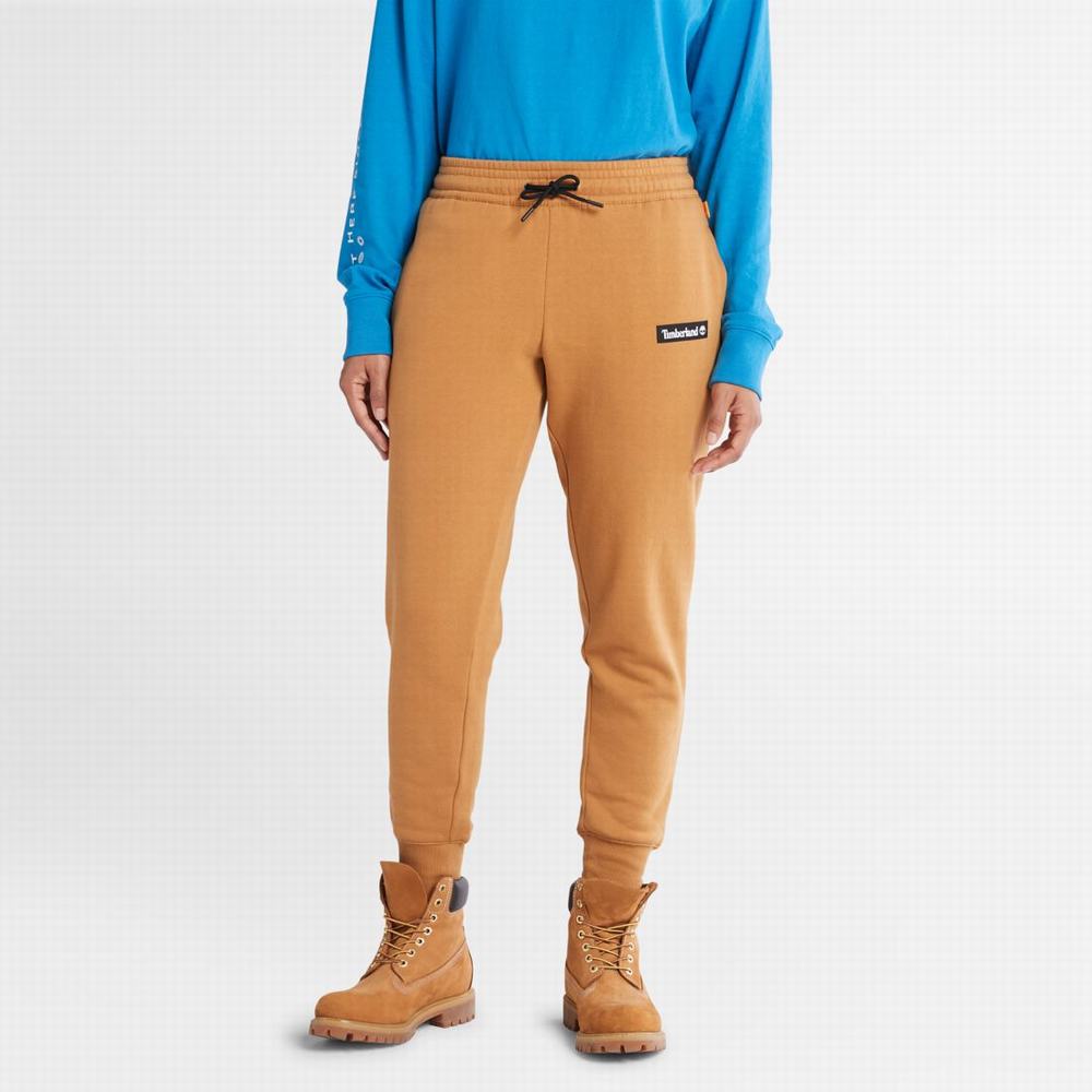 Timberland Sweatpants Pantolon Erkek Kahverengi | TR-6435Z
