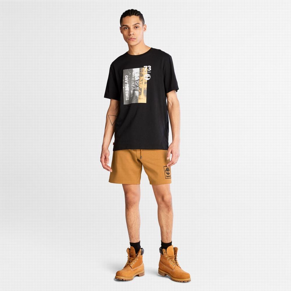 Timberland Sweatshorts Şort Erkek Kahverengi | TR-4960P