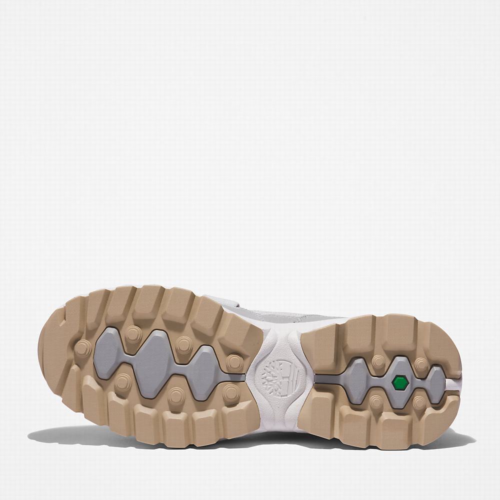 Timberland TBL® Edge EK+ Hiking Trainer Yürüyüş Ayakkabısı Erkek Açık Gri | TR-3592M