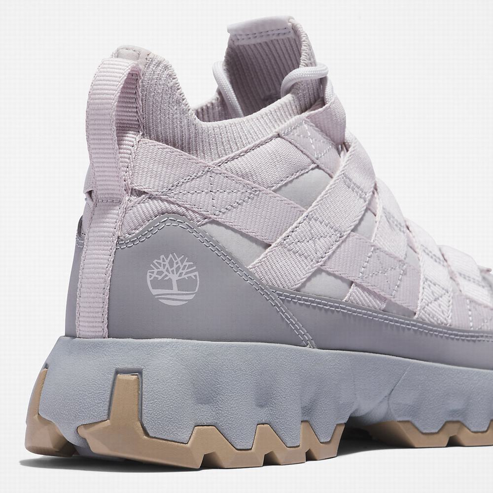 Timberland TBL® Edge EK+ Yürüyüş Botu Erkek Açık Gri | TR-2870V