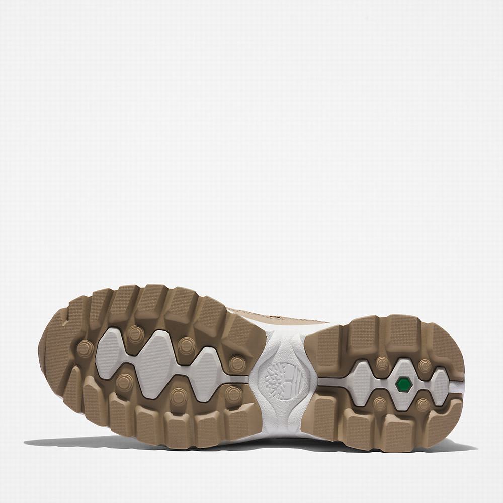 Timberland TBL® Edge EK+ Yürüyüş Botu Erkek Bej Rengi | TR-5061B