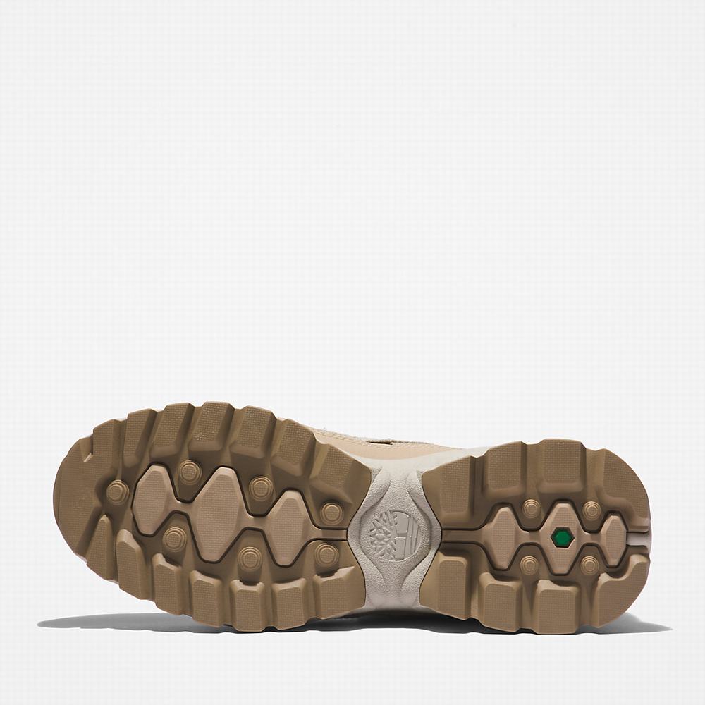 Timberland TBL® Edge EK+ Yürüyüş Botu Kadın Bej Rengi | TR-9074L