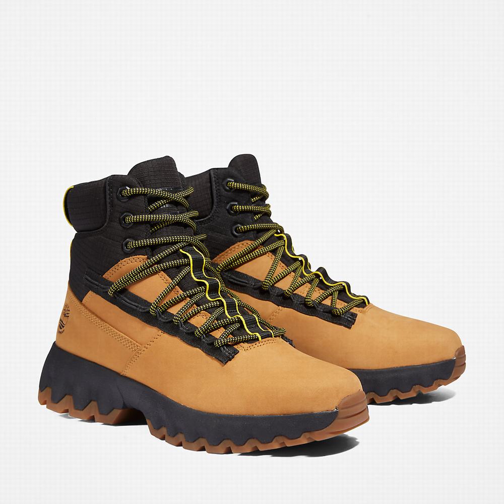 Timberland TBL® Edge Waterproof Bot Erkek Sarı | TR-5604H