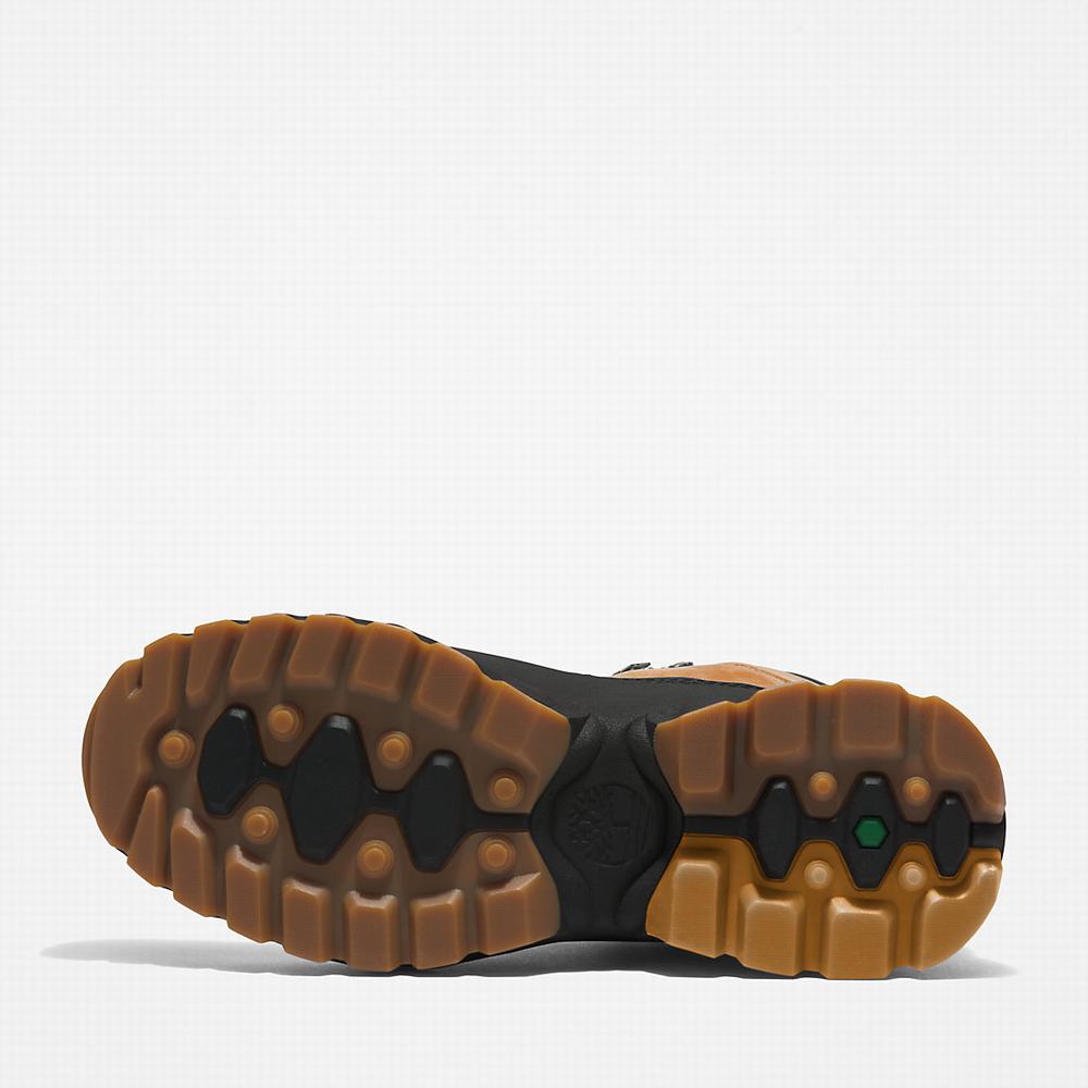 Timberland TBL® Edge World Hiker Yürüyüş Botu Erkek Açık Kahverengi | TR-1068W