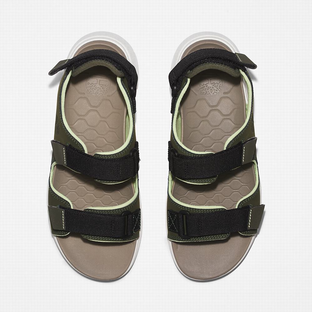 Timberland TBL® Whitehaven Backstrap Sandalet Erkek Koyu Yeşil | TR-0948A