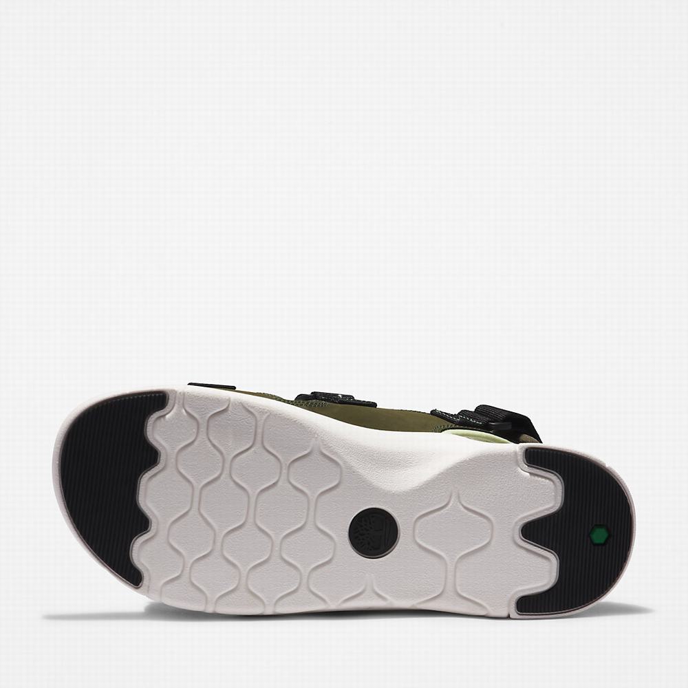 Timberland TBL® Whitehaven Backstrap Sandalet Erkek Koyu Yeşil | TR-0948A