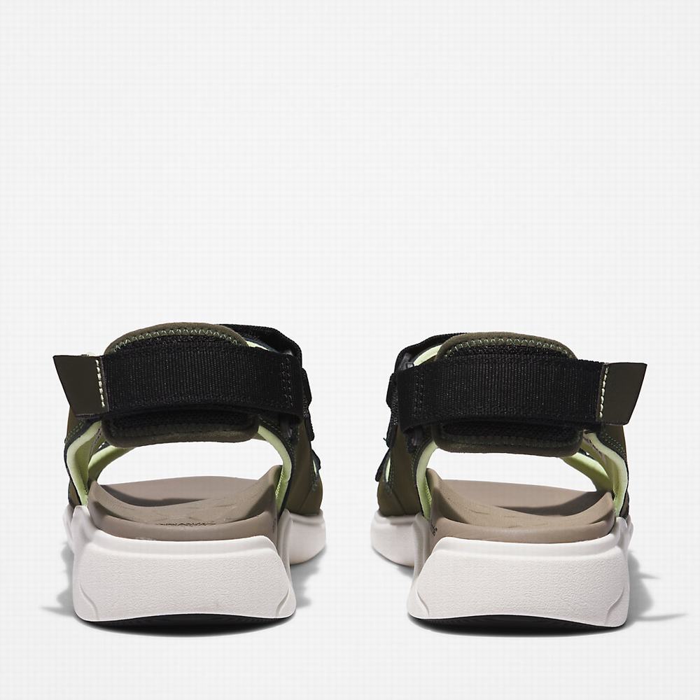 Timberland TBL® Whitehaven Backstrap Sandalet Erkek Koyu Yeşil | TR-0948A