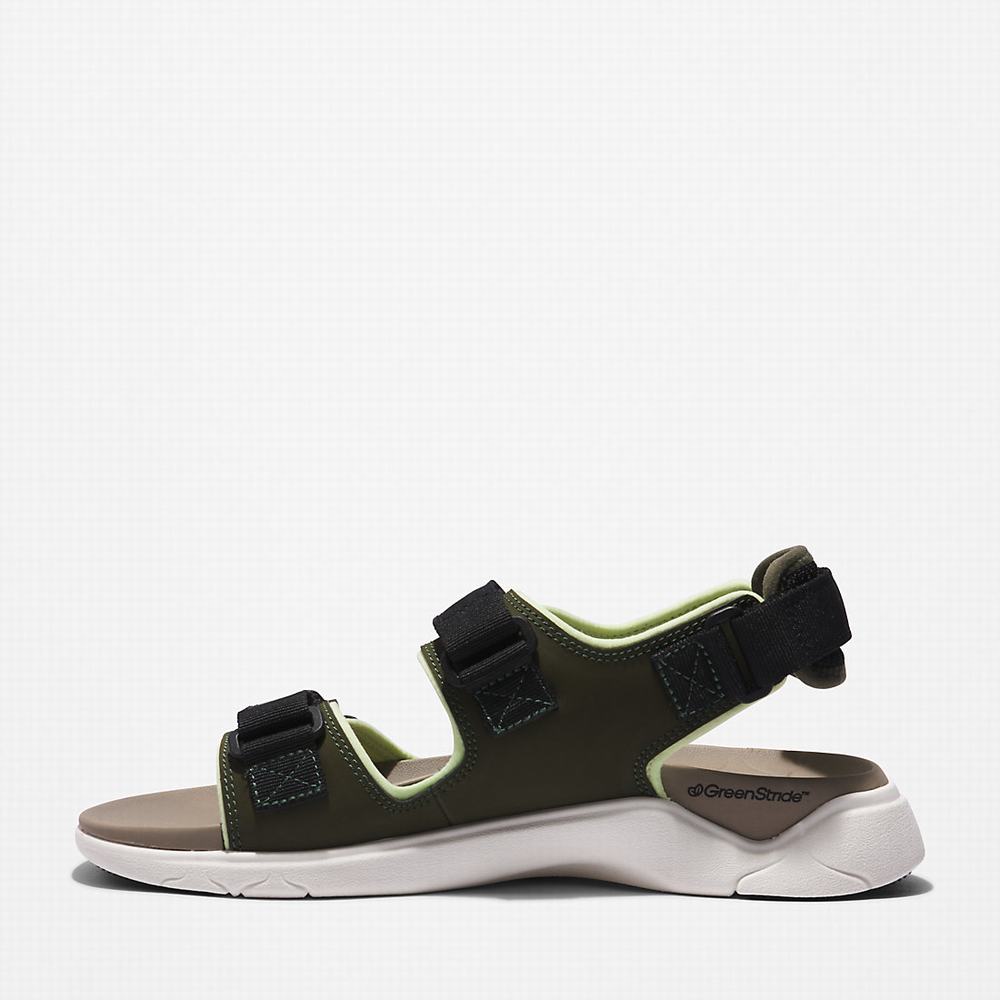 Timberland TBL® Whitehaven Backstrap Sandalet Erkek Koyu Yeşil | TR-0948A
