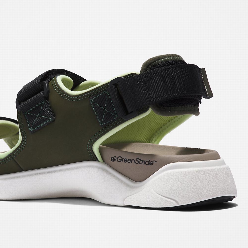 Timberland TBL® Whitehaven Backstrap Sandalet Erkek Koyu Yeşil | TR-0948A