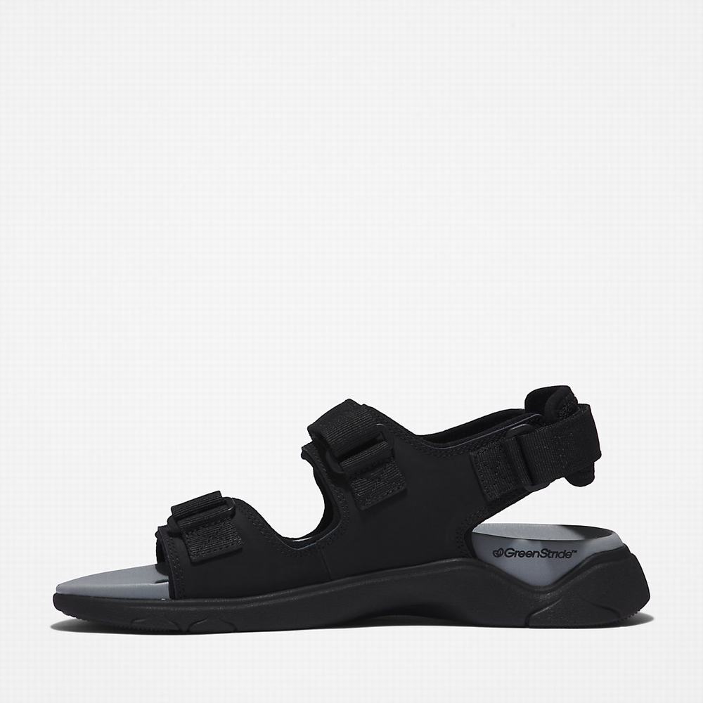Timberland TBL® Whitehaven Backstrap Sandalet Erkek Siyah | TR-4687U