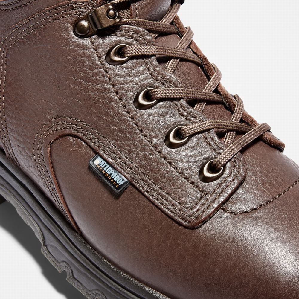 Timberland TiTAN 6