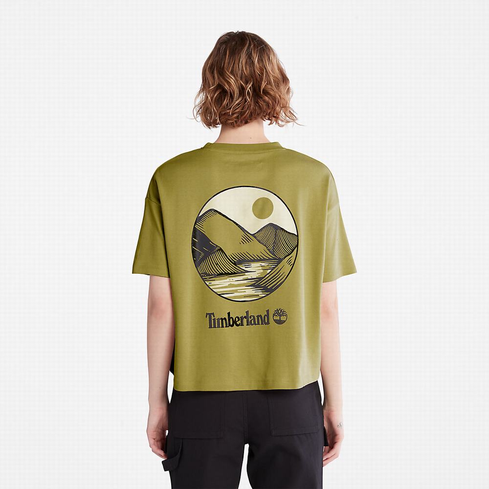 Timberland TimberFresh™ Graphic Tişört Kadın Sarı | TR-5083H