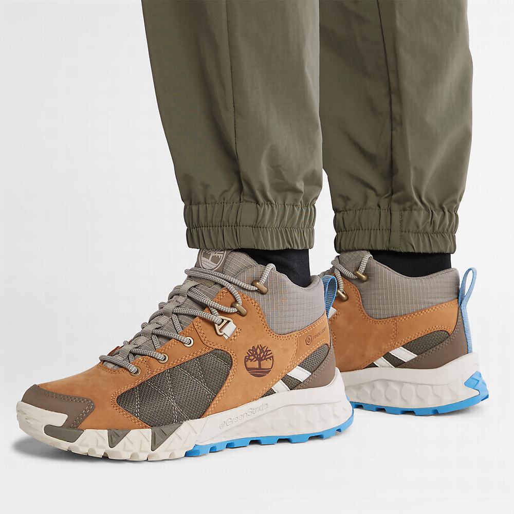 Timberland Tracksuit Bottoms Pantolon Kadın Yeşil | TR-5207M