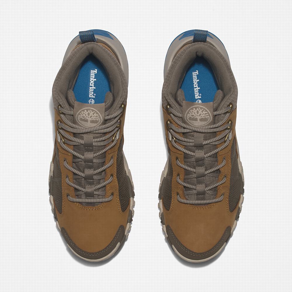 Timberland Trailquest Hiker Yürüyüş Botu Kadın Kahverengi | TR-5984G