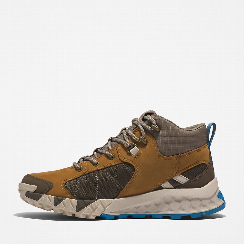 Timberland Trailquest Hiker Yürüyüş Botu Kadın Kahverengi | TR-5984G
