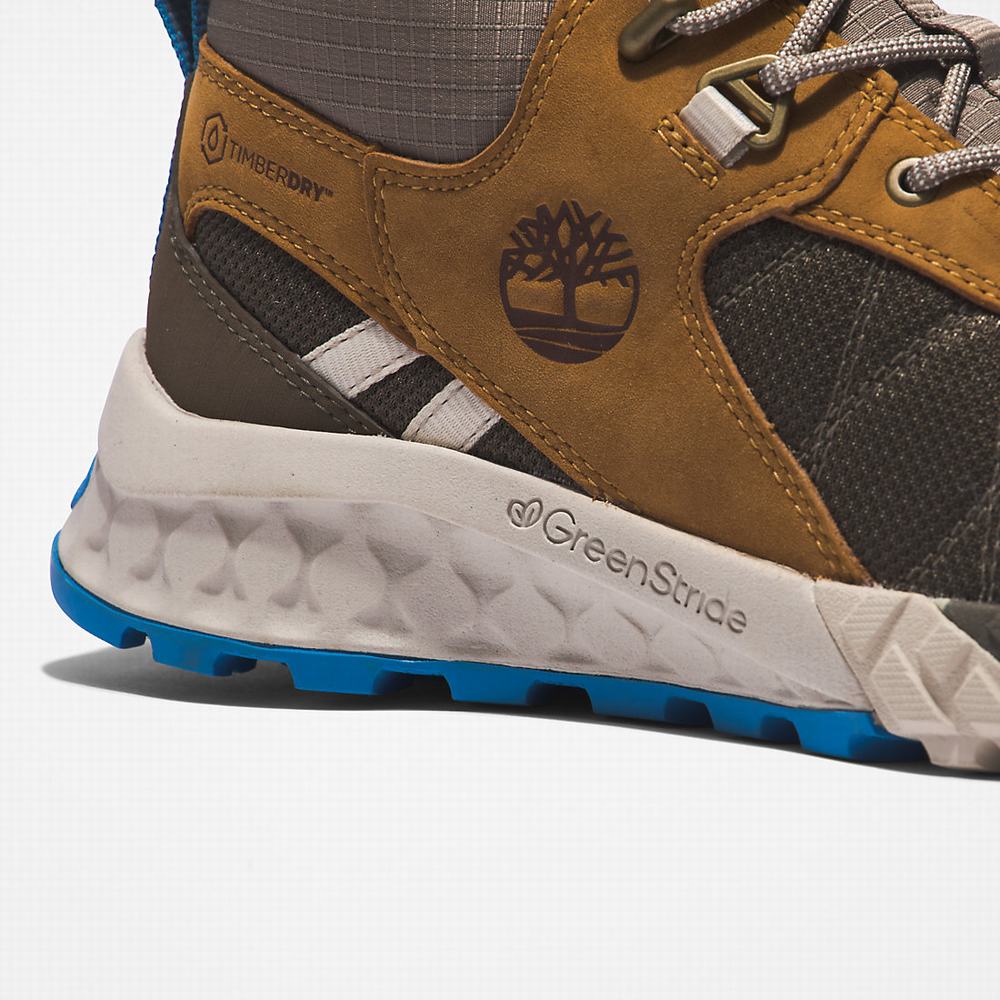 Timberland Trailquest Hiker Yürüyüş Botu Kadın Kahverengi | TR-5984G