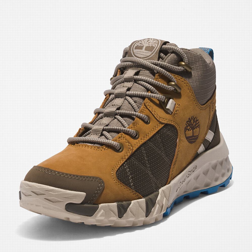 Timberland Trailquest Hiker Yürüyüş Botu Kadın Kahverengi | TR-5984G