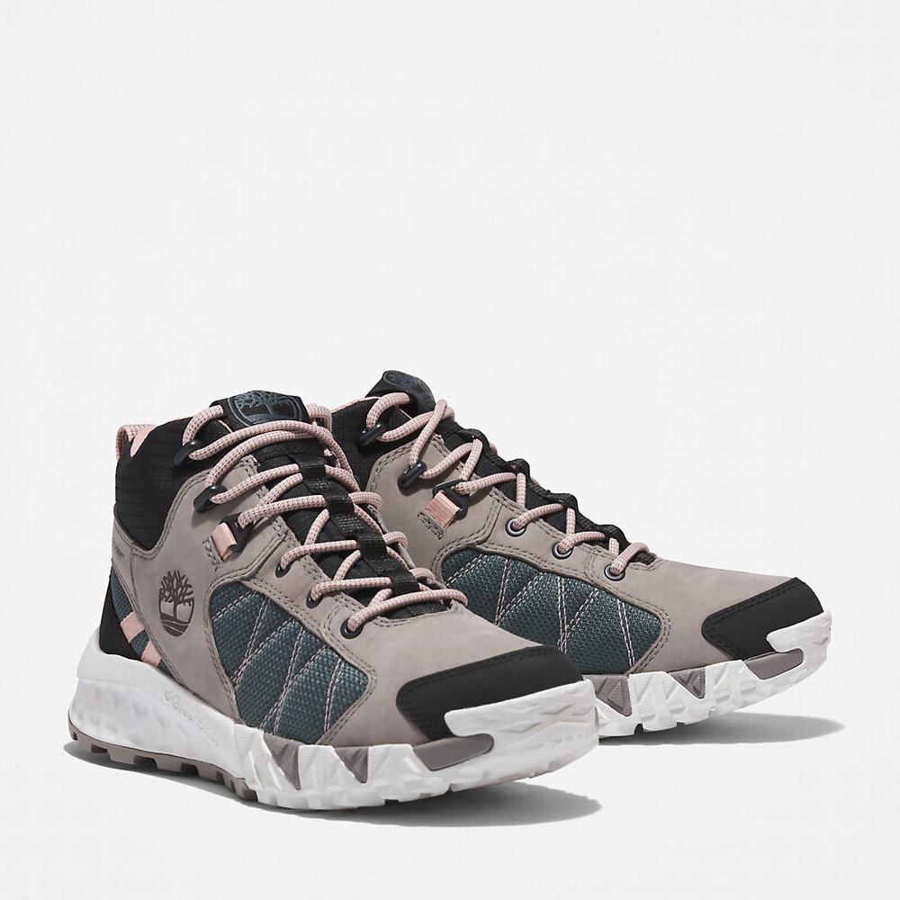 Timberland Trailquest Hiker Yürüyüş Botu Kadın Gri | TR-7269F