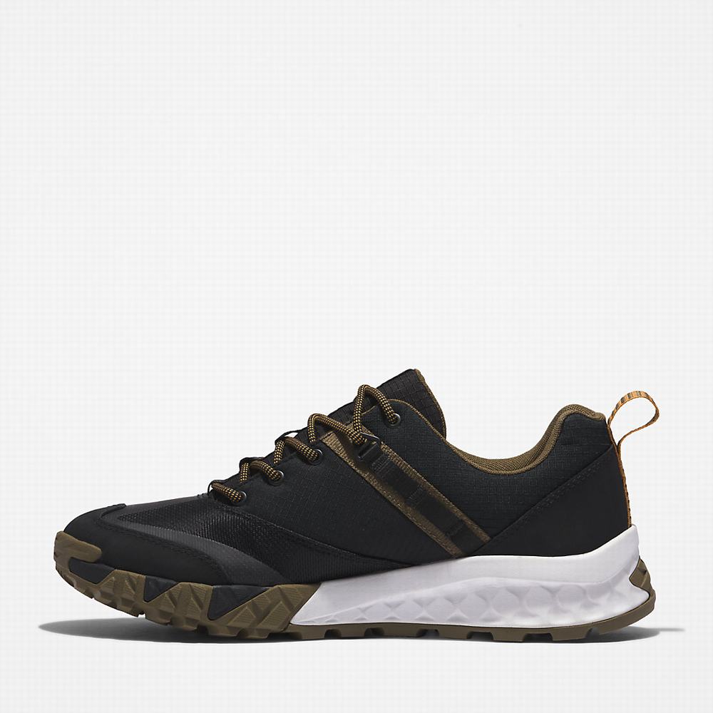 Timberland Trailquest Spor Ayakkabı Erkek Siyah | TR-1329H