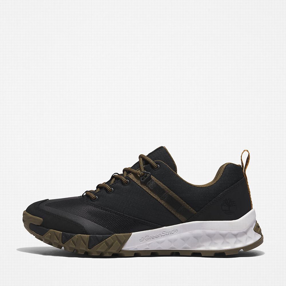 Timberland Trailquest Spor Ayakkabı Erkek Siyah | TR-1329H