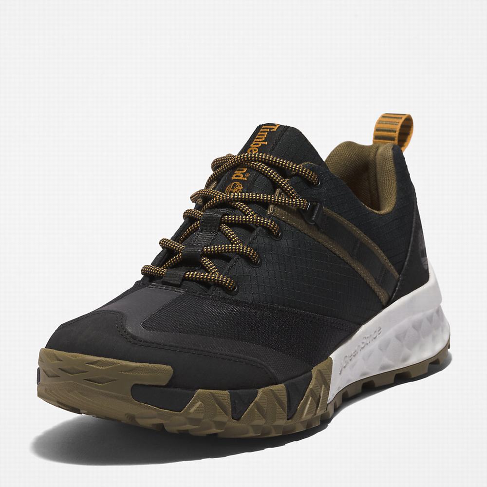 Timberland Trailquest Spor Ayakkabı Erkek Siyah | TR-1329H